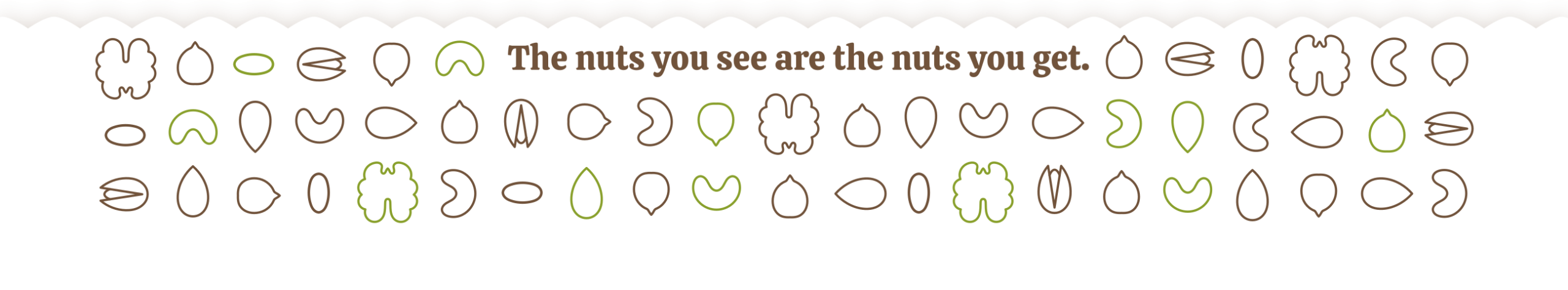 Footer Image
