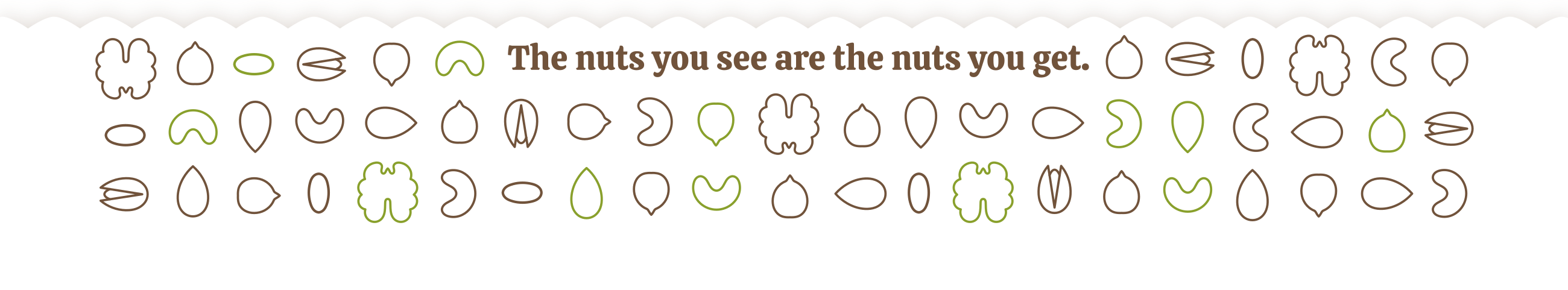Footer Image